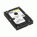 Western Digital Caviar Blue WD3200AAJB 320GB ATA100 7200rpm 8MB Hard Drive             